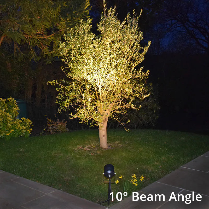 AlvaLED - 15W Black LED Spike Light (240V) 3000K - 10° and 38° Beam Angles