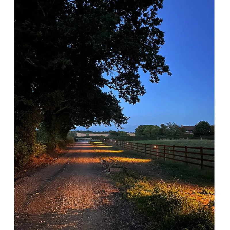 Alvaspot - 12v Black Outdoor Spotlight - MR16