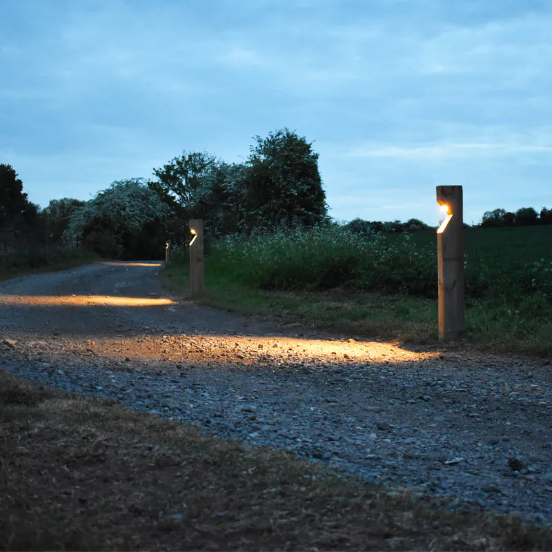 PACAMAN - Radiata Sleeper Path Light (Timber Pine) - MR16 LED Down Light 12v