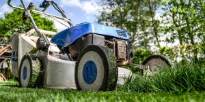 garden-maintenance-lawn-mowing