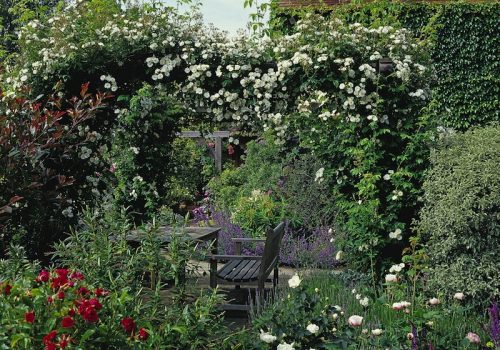 Romantic English garden pergola with climbing roses in traditional country garden