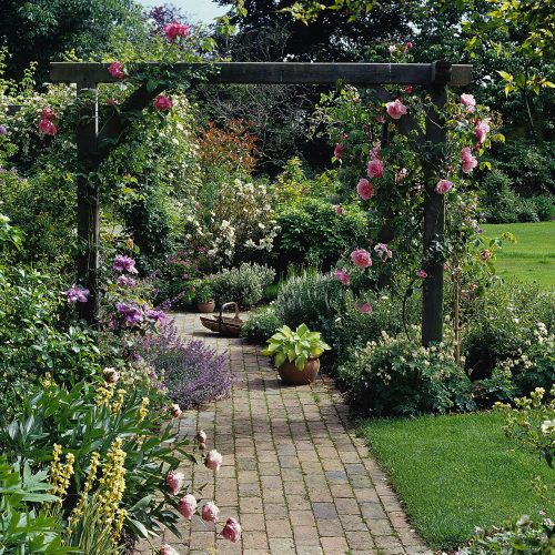 climbing roses on garden pergola - manufactured and supplied by Platts Horticulture